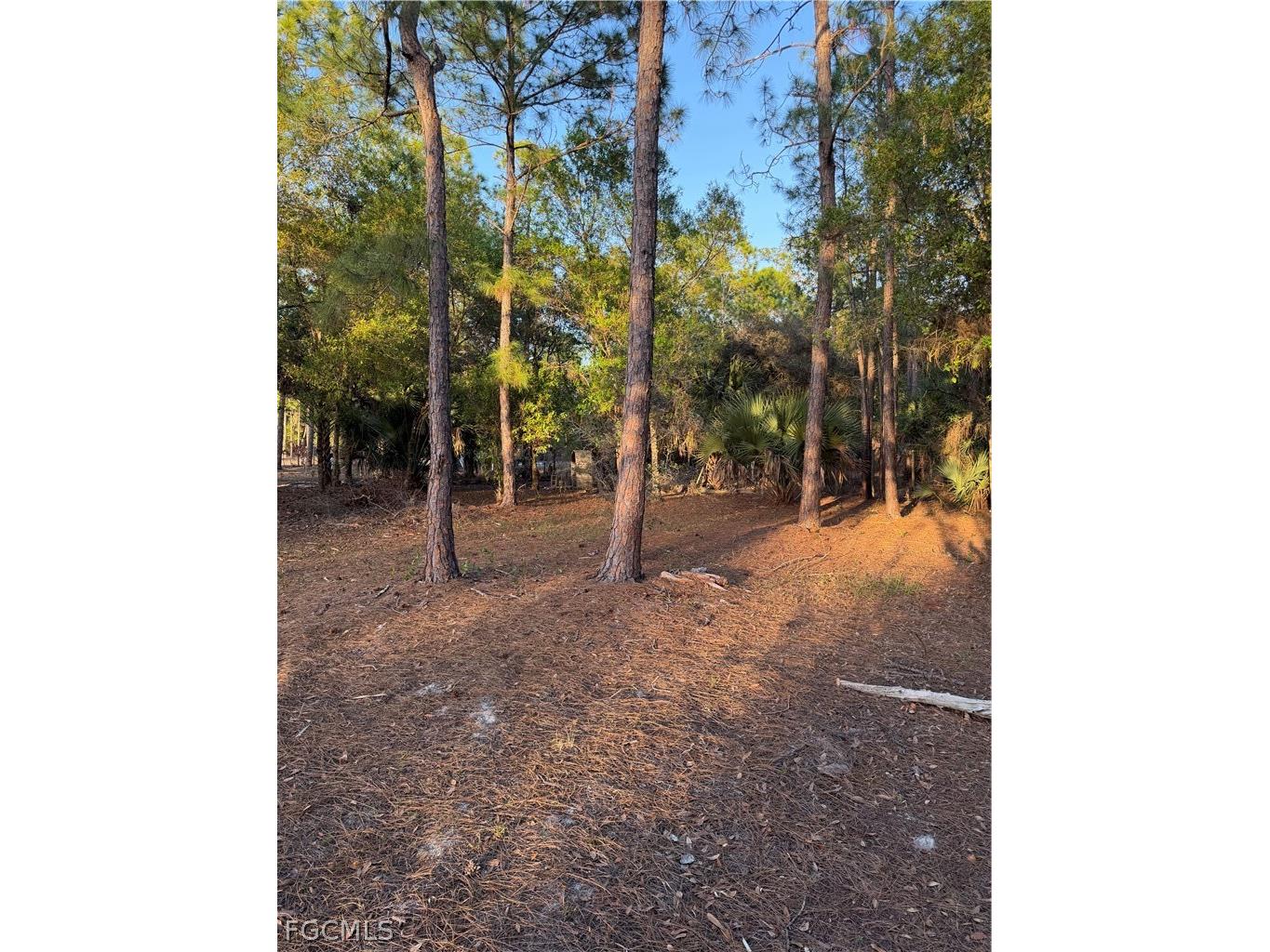 535 N Kennel Street Clewiston FL 33440 2026011398 image8
