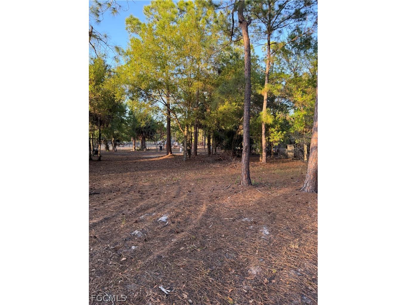 535 N Kennel Street Clewiston FL 33440 2026011398 image9