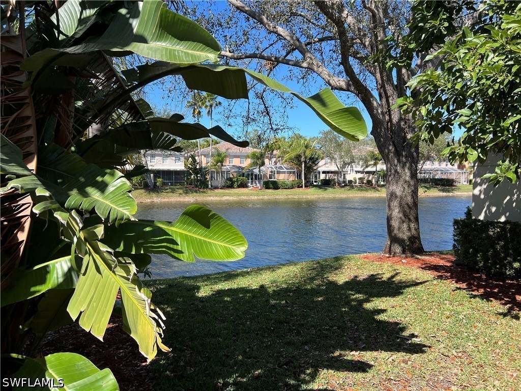 5365 Cove Circle #125 Naples FL 34119 226009426 image28
