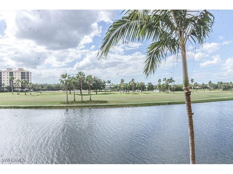 538 Avellino Isles Circle #9201 Naples FL 34119 225072145 image25
