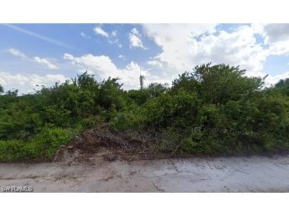 538 Lone Star Lane Lehigh Acres FL 33974 224001391 image1