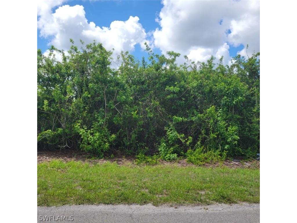 538 Louisville Street E Lehigh Acres FL 33974 222033189 image1