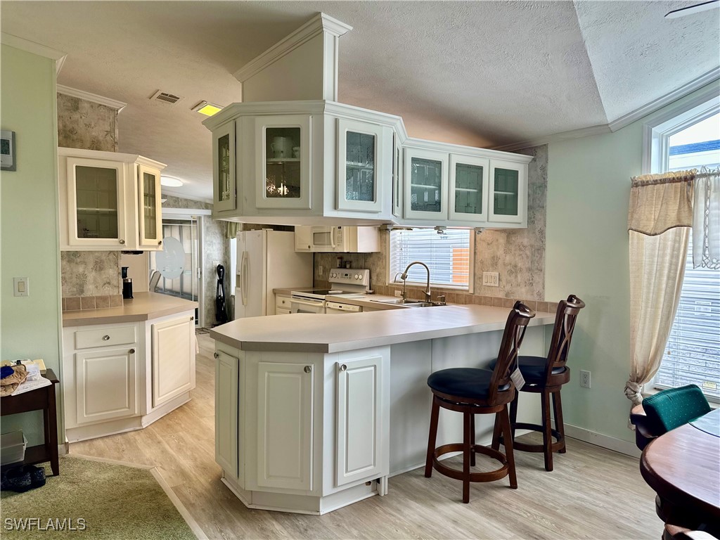 5396 Fiddleleaf Drive Fort Myers FL 33905 224020268 image18