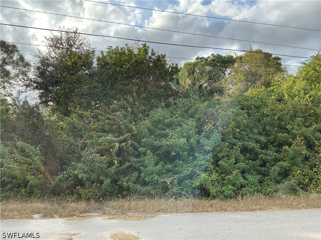 54 Gene Avenue S Lehigh Acres FL 33976 226012958 image1
