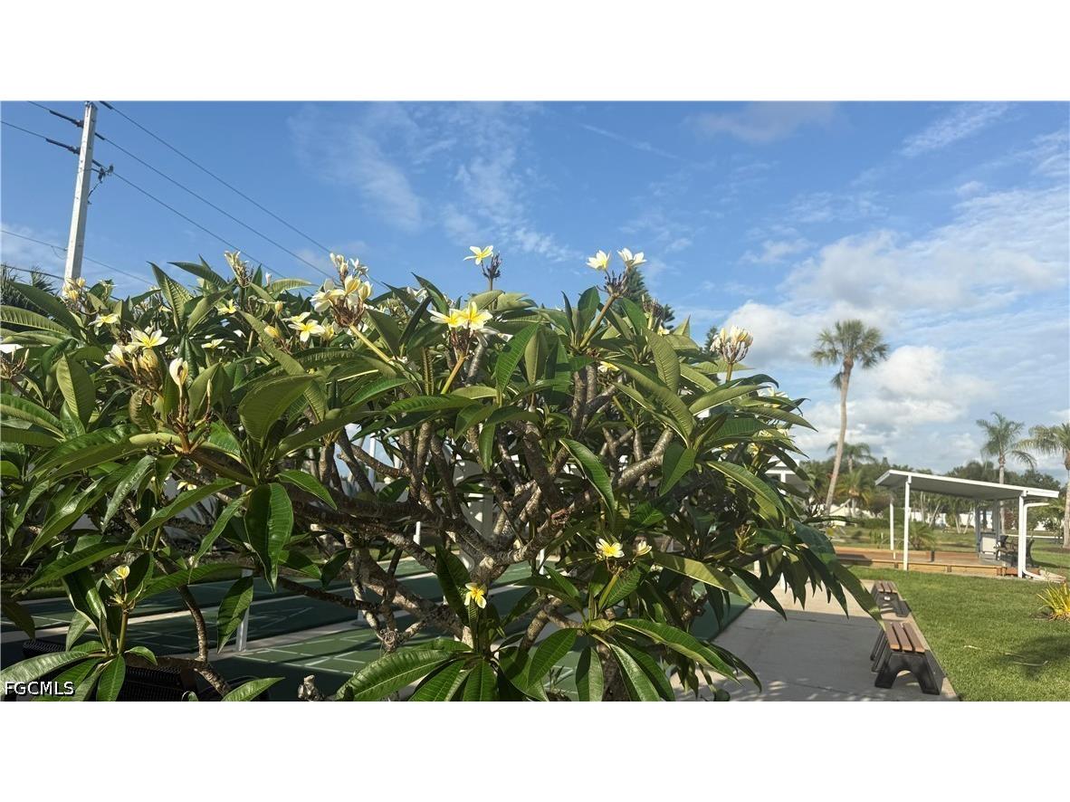 54 Oceans Boulevard #54 Naples FL 34104 2026022361 image19