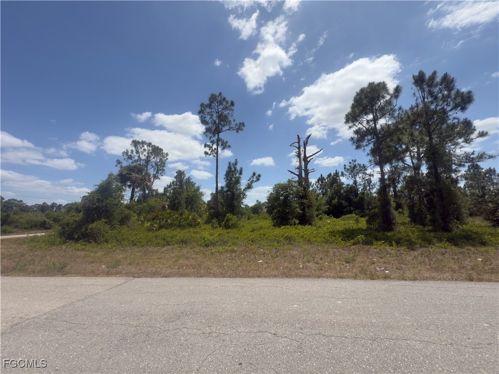 540 Aspen Avenue S Lehigh Acres FL 33974 2025008333 image11