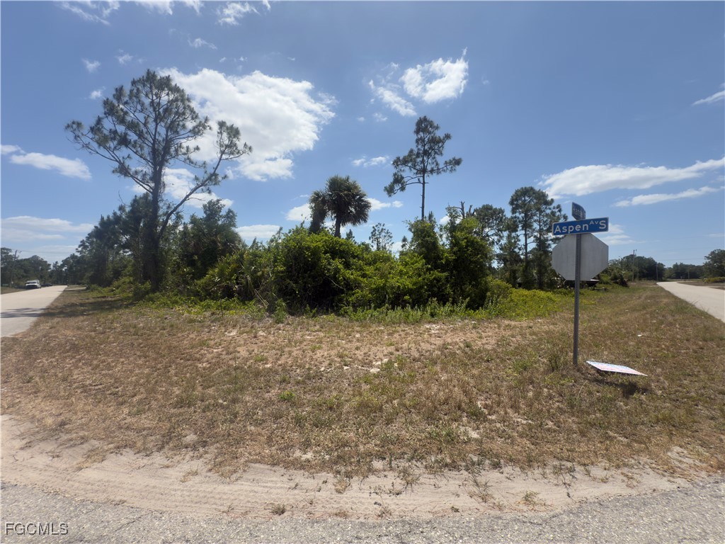 540 Aspen Avenue S Lehigh Acres FL 33974 2025008333 image12