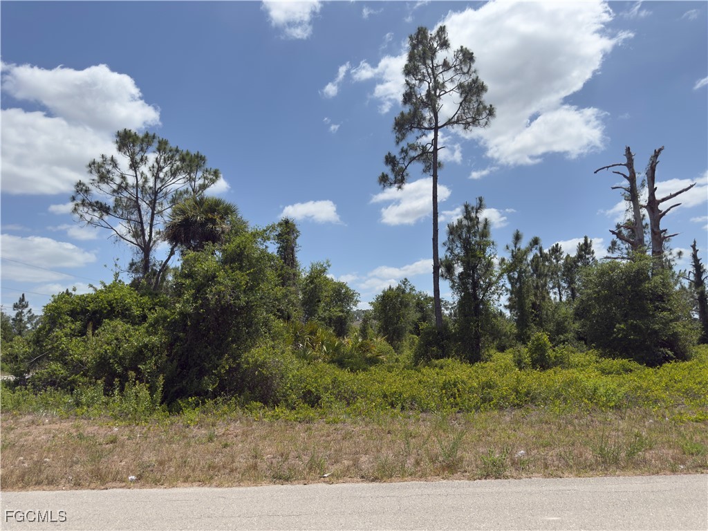 540 Aspen Avenue S Lehigh Acres FL 33974 2025008333 image5