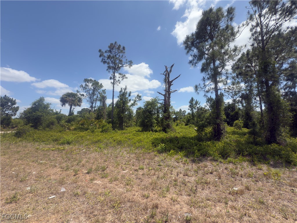 540 Aspen Avenue S Lehigh Acres FL 33974 2025008333 image9