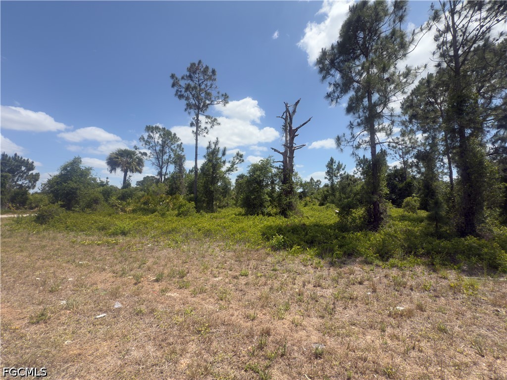 540 Aspen Avenue S Lehigh Acres FL 33974 2026019759 image1