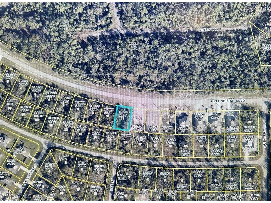 541 Greenbriar Boulevard Lehigh Acres FL 33972 224019142 image1