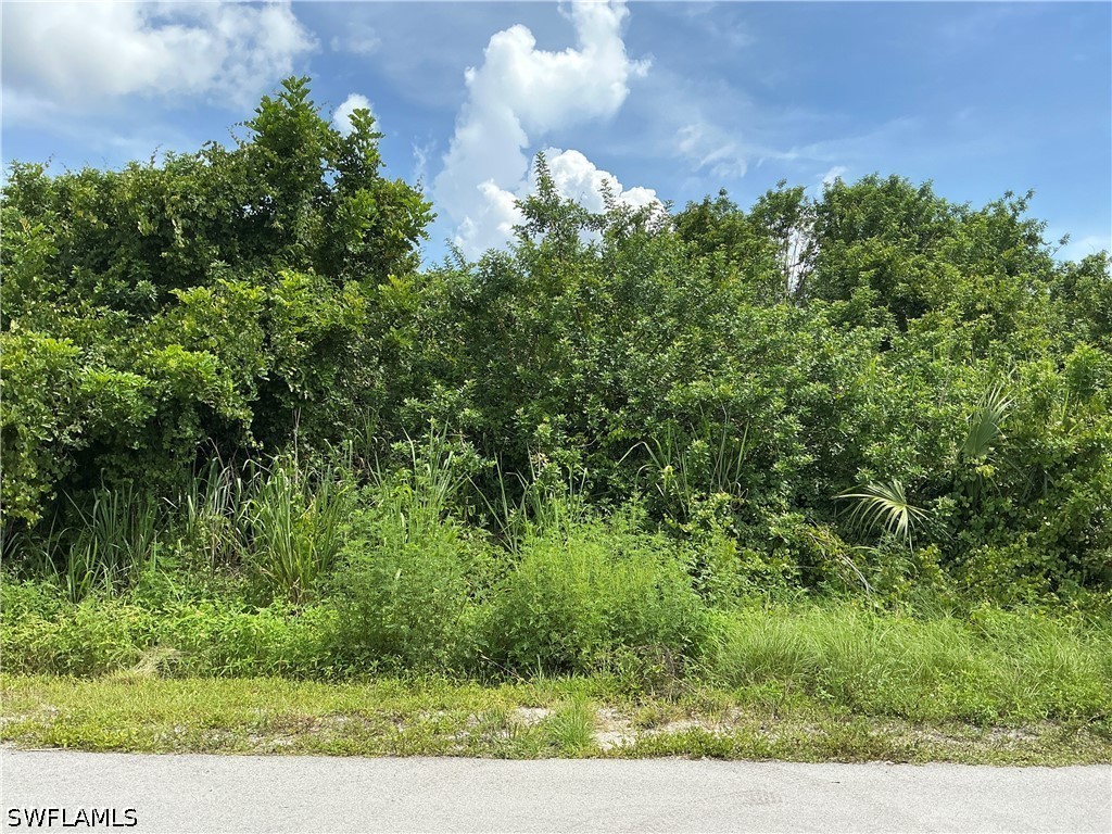 5411 Lee Street Lehigh Acres FL 33971 226024921 image1