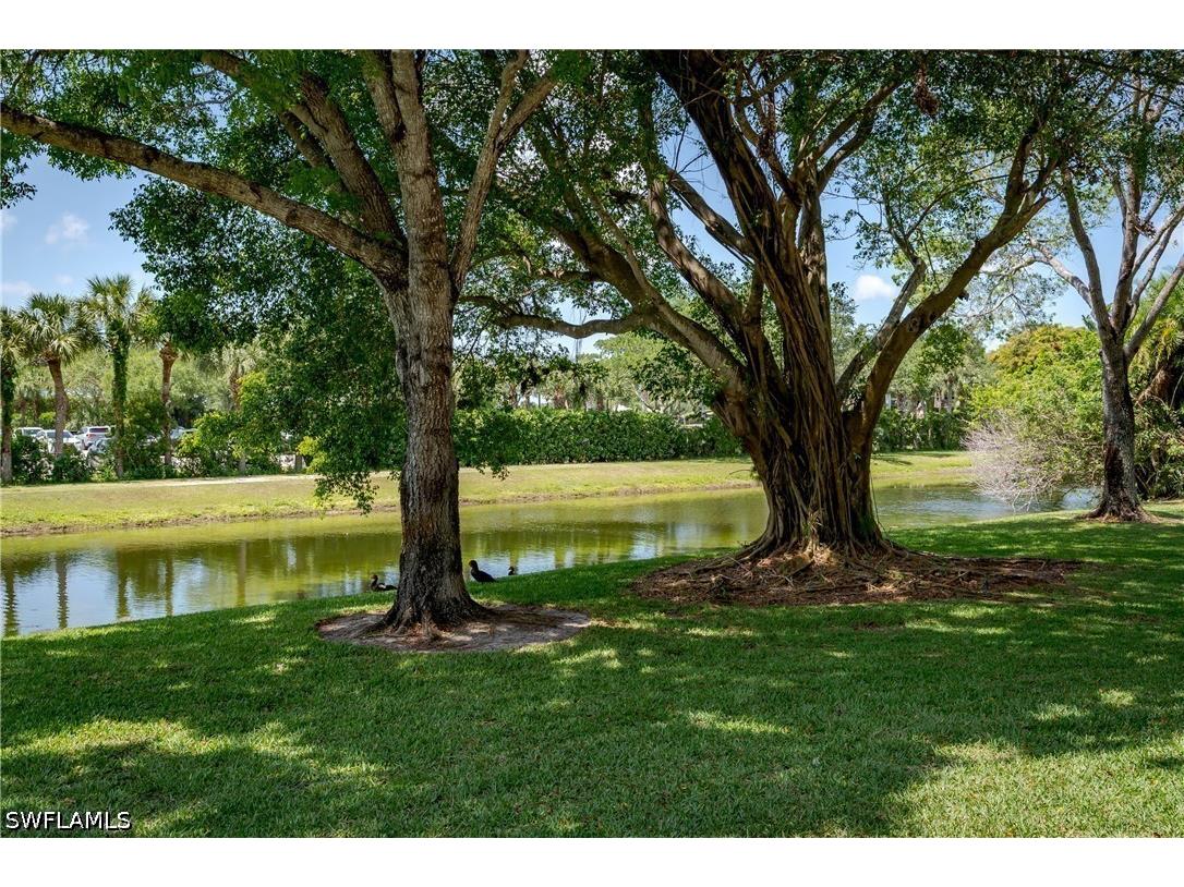 5419 Rattlensake Hammock Road #307F Naples FL 34113 226018091 image22
