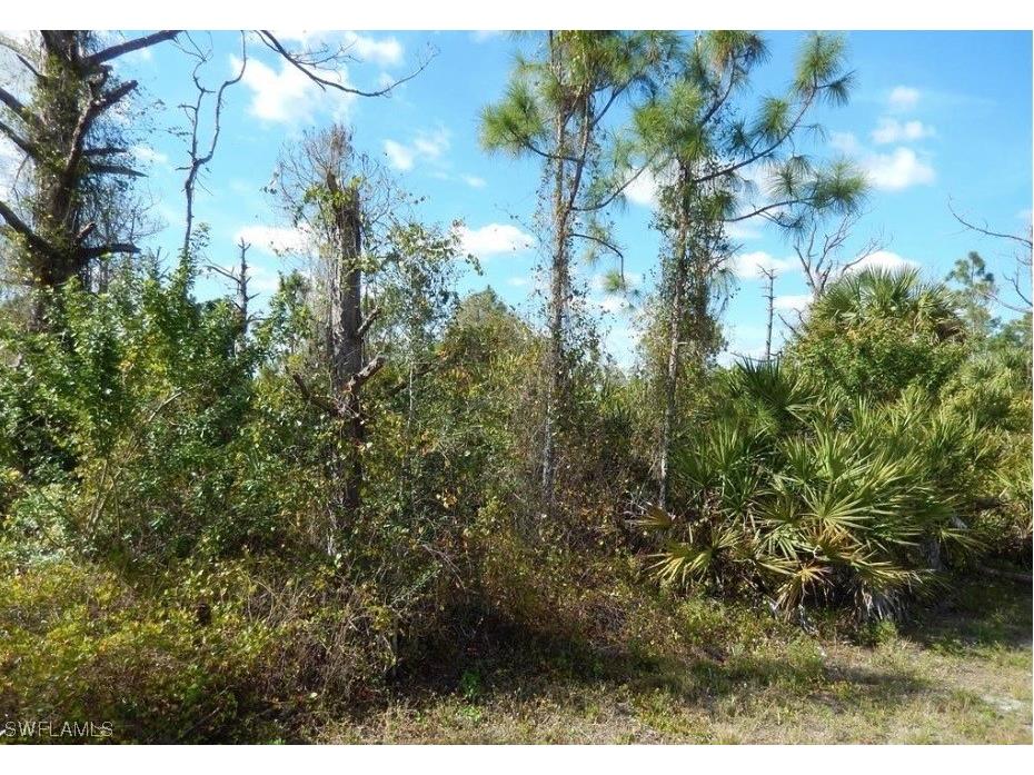 544 Aspen Avenue S Lehigh Acres FL 33974 223025406 image1