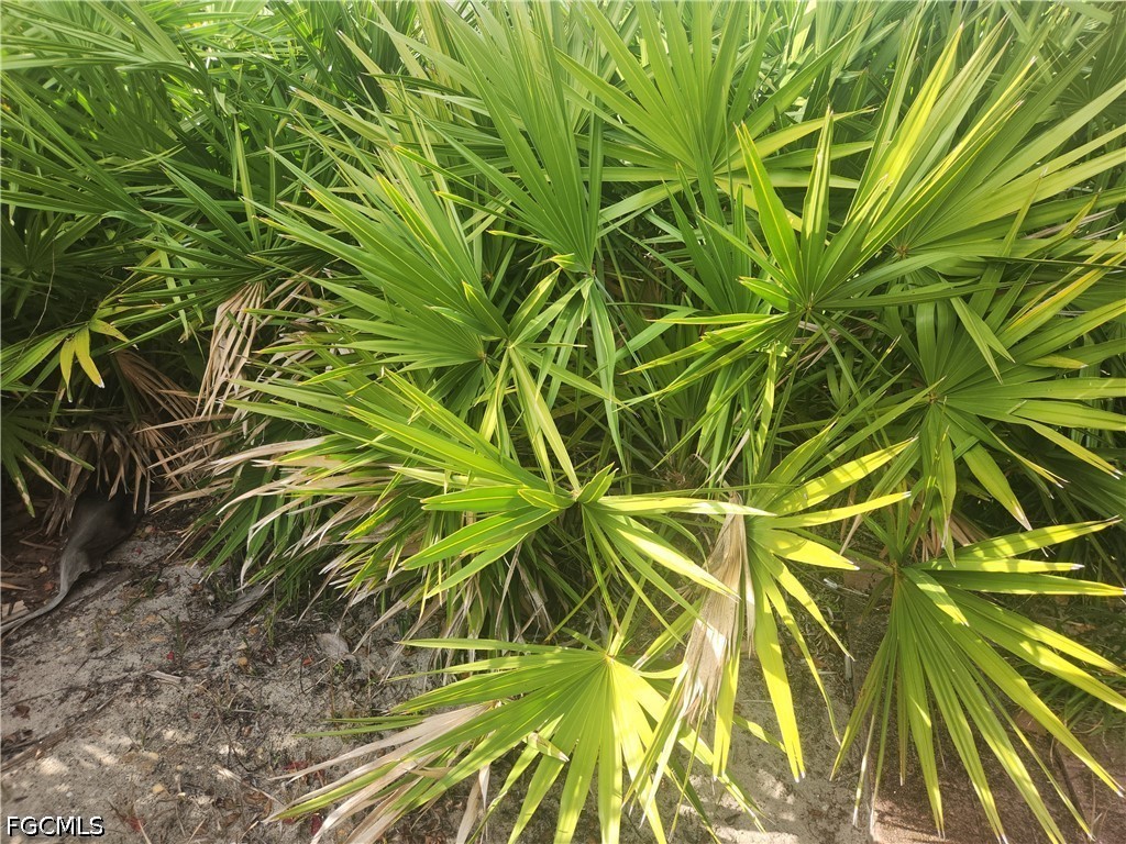 544 Wabasso Avenue S Lehigh Acres FL 33974 2026015455 image1