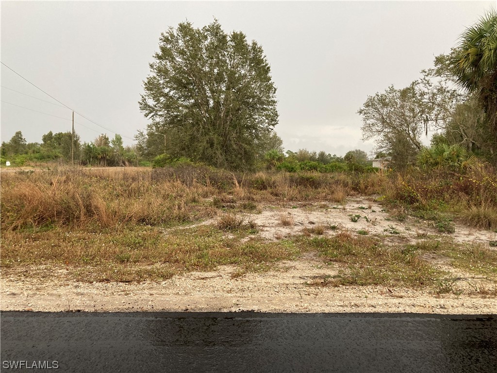 545 Lone Star Lane Lehigh Acres FL 33974 224008448 image1