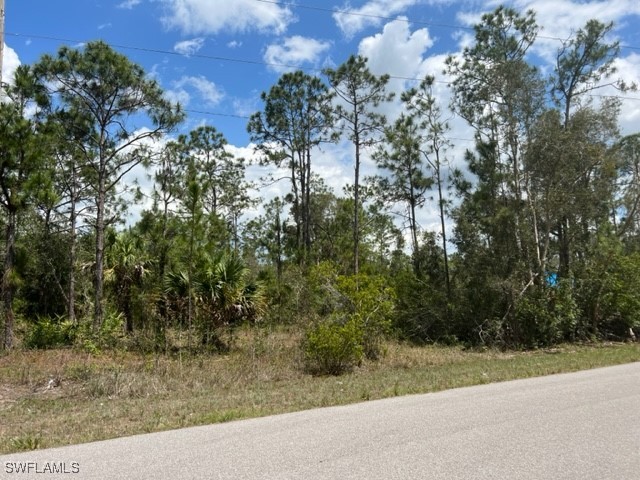 545 Millcreek Street Lehigh Acres FL 33974 225078715 image2