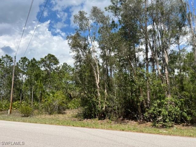 545 Millcreek Street Lehigh Acres FL 33974 225078715 image4