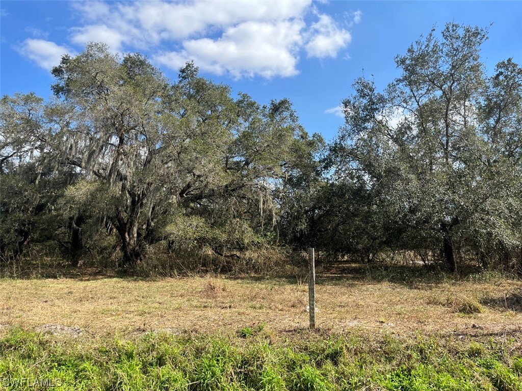 545 N Arboleda Street Clewiston FL 33440 223044089 image1