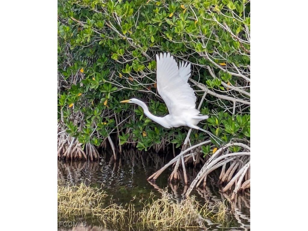 545 SE 4th Terrace Cape Coral FL 33990 2025014128 image29