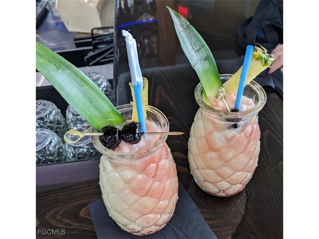 545 SE 4th Terrace Cape Coral FL 33990 2025014128 image30