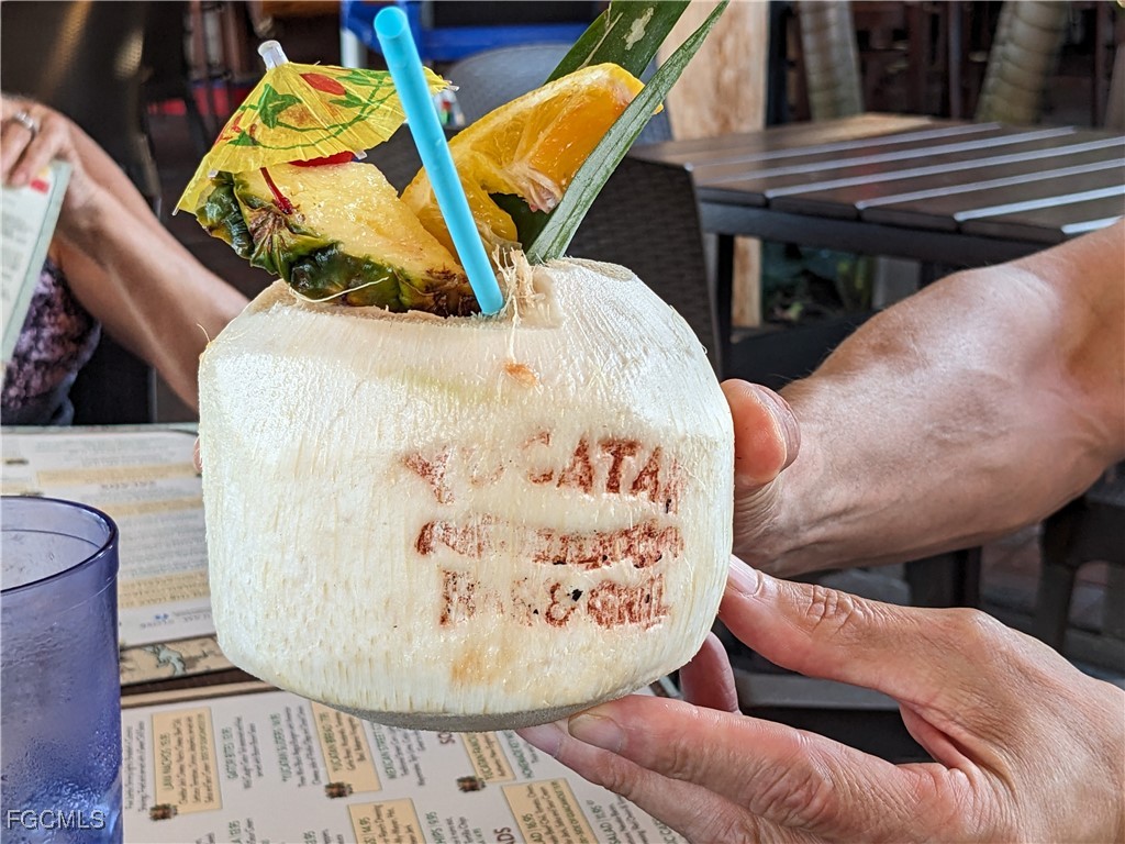 545 SE 4th Terrace Cape Coral FL 33990 2025014128 image34