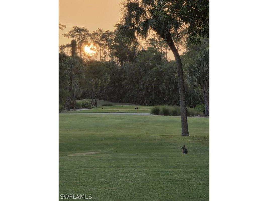 547 Cormorant Cove Naples FL 34113 226008935 image46