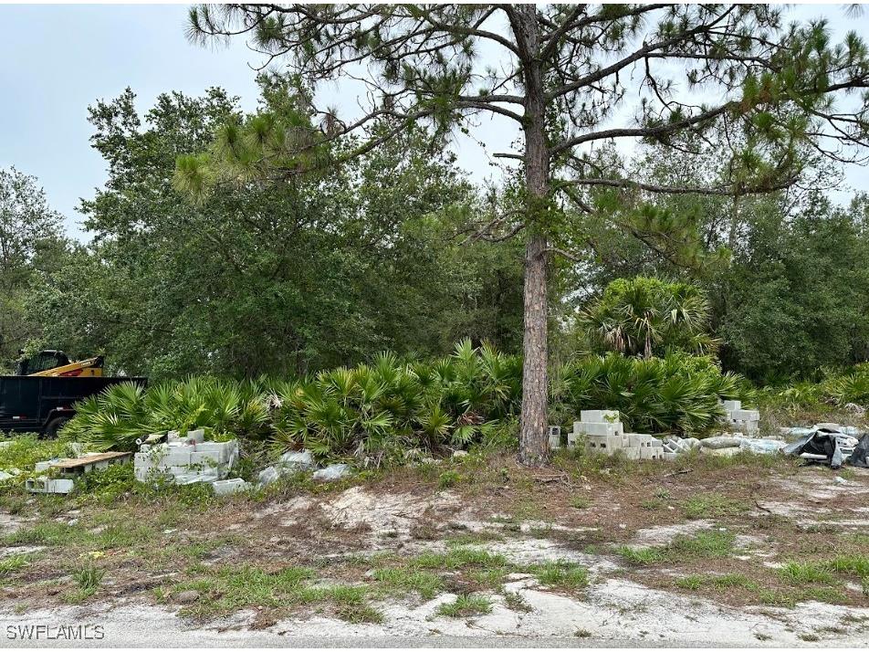 547 Cypress Avenue S Lehigh Acres FL 33974 225060739 image1