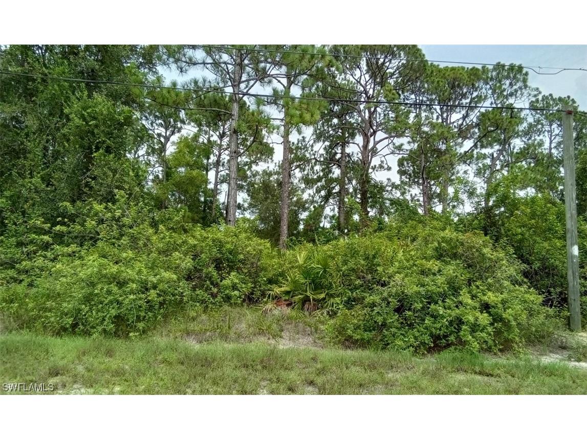 55 Douglas Avenue S Lehigh Acres FL 33976 223059425 image1