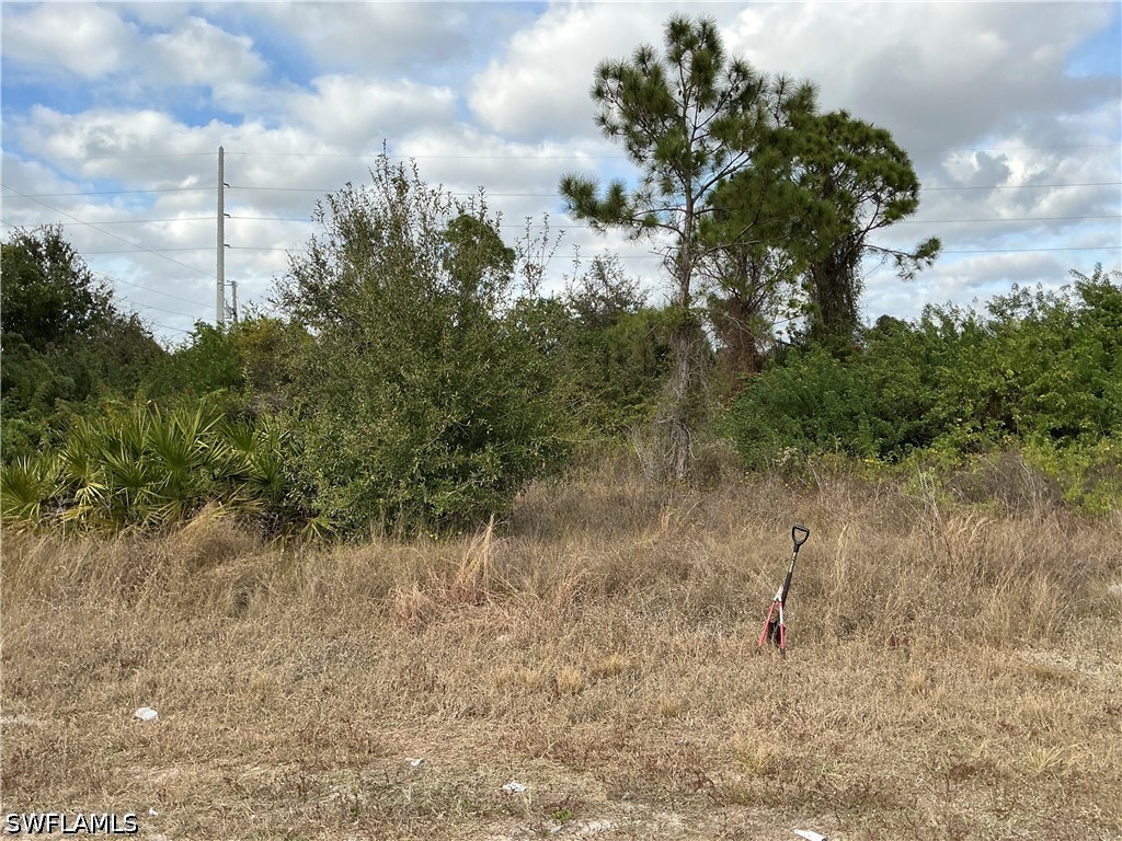 55 Hanna Avenue S Lehigh Acres FL 33976 226012957 image1