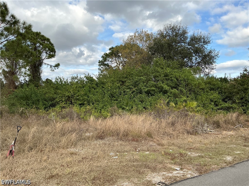 55 Hanna Avenue S Lehigh Acres FL 33976 226012957 image4