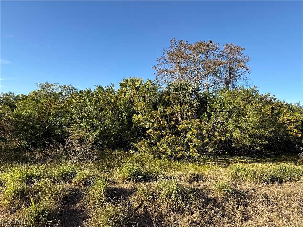 5500 1st Road Labelle FL 33935 2026013710 image7
