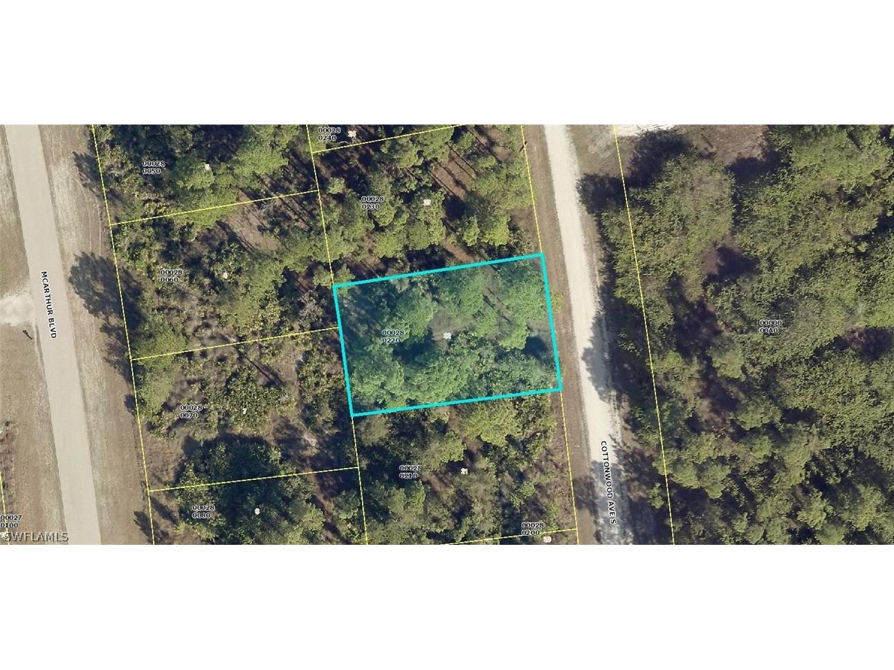 552 Cottonwood Avenue S Lehigh Acres FL 33974 222051750 image1