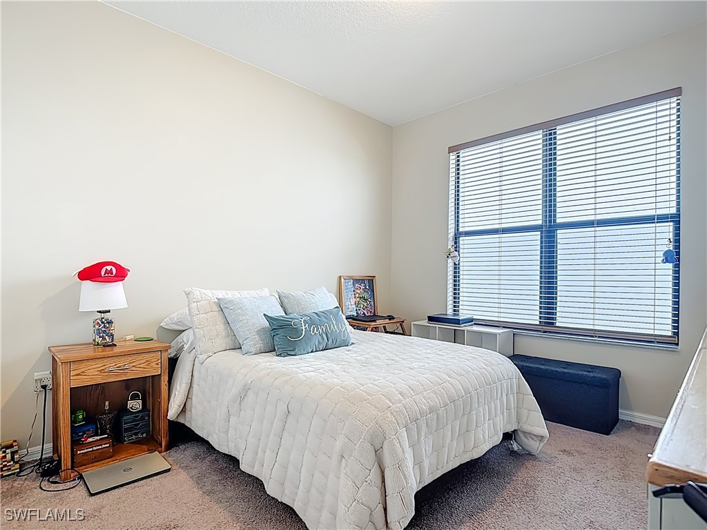 5529 Soria Avenue Ave Maria FL 34142 226005824 image15