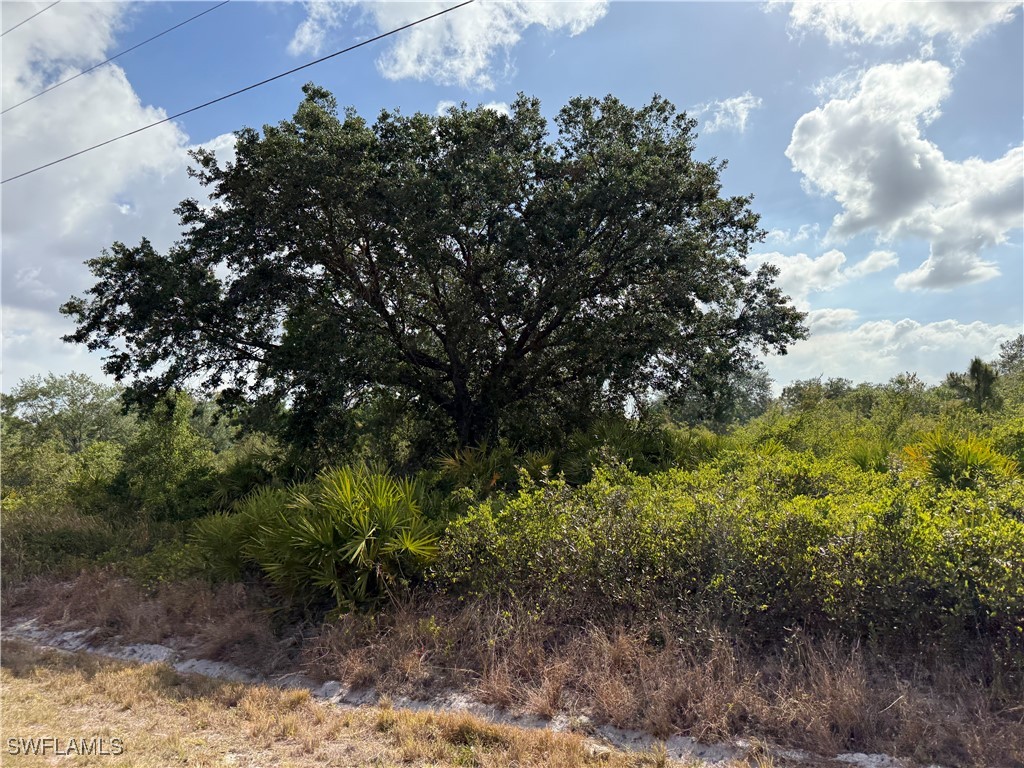 555 S Live Oak Street Clewiston FL 33440 225050308 image1