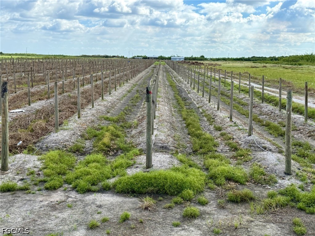 5567 5th Road Labelle FL 33935 2026015205 image1