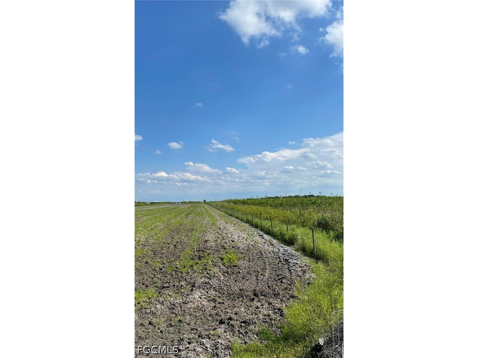 5567 5th Road Labelle FL 33935 2026015205 image14