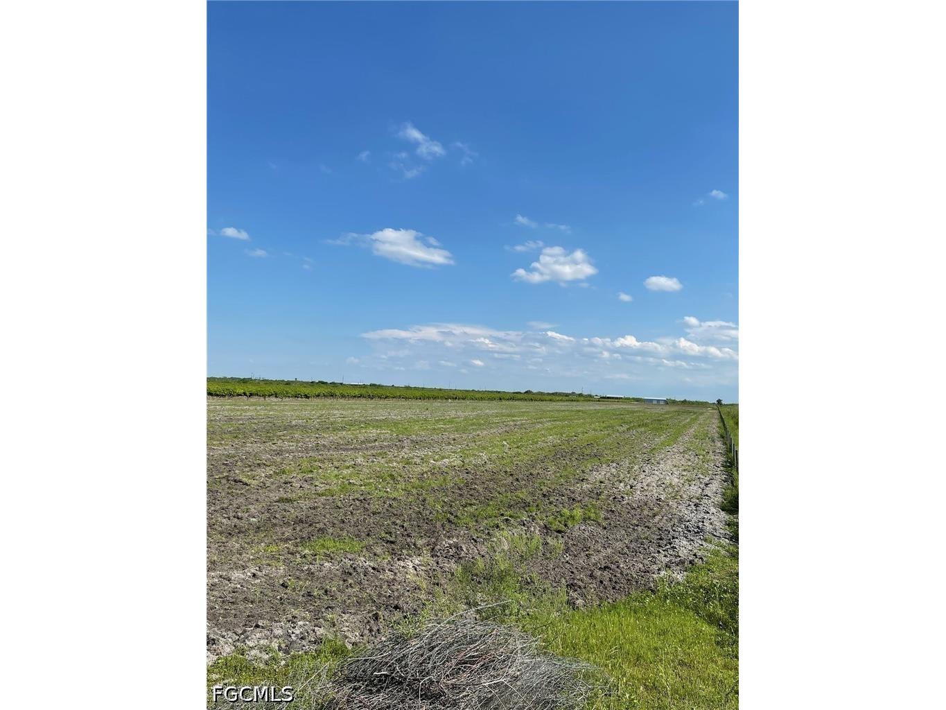 5567 5th Road Labelle FL 33935 2026015205 image5