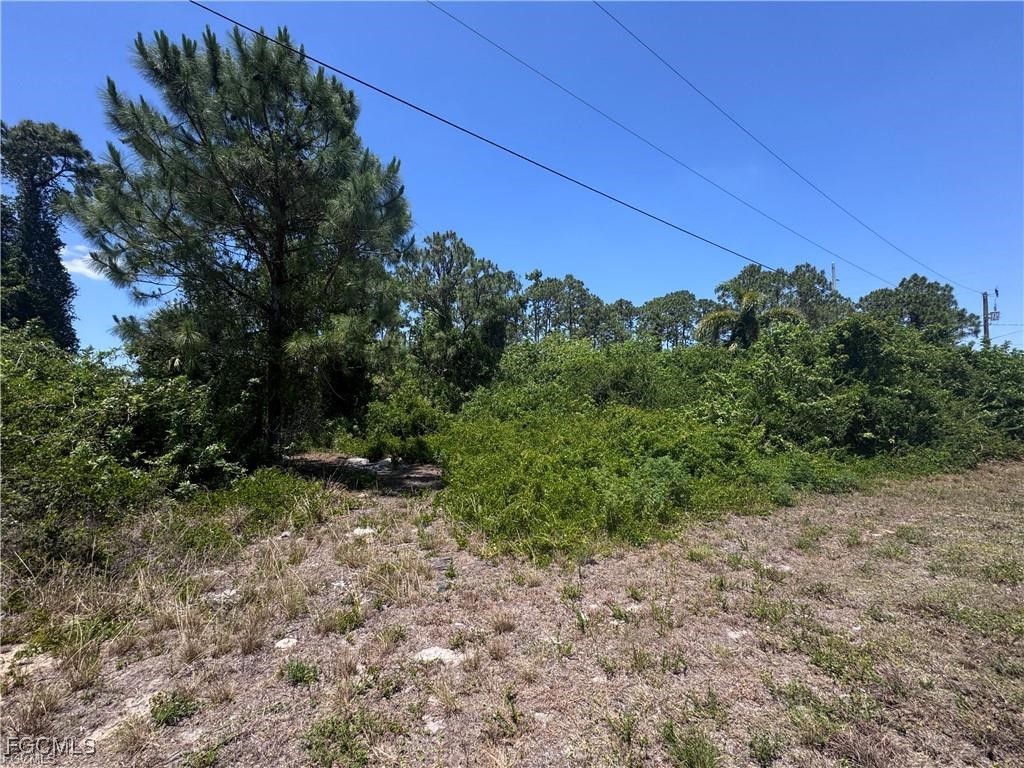 56 Wanda Avenue S Lehigh Acres FL 33976 2026002604 image5