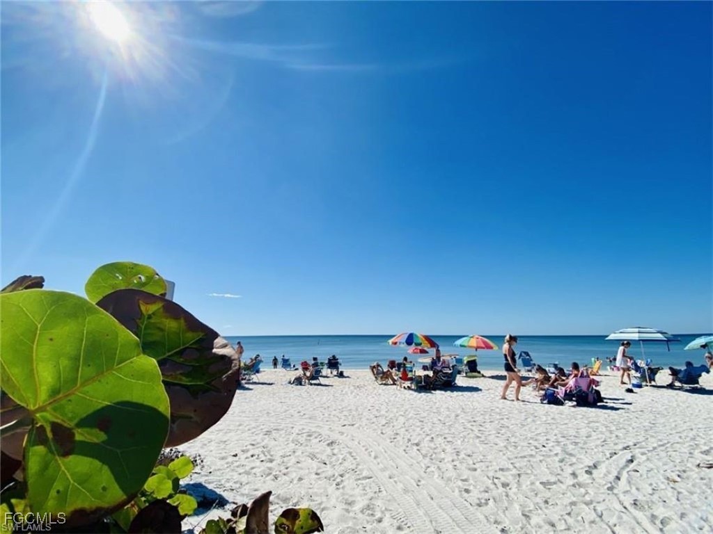 5600 Bonita Beach Road #308 Bonita Springs FL 34134 2025007562 image2