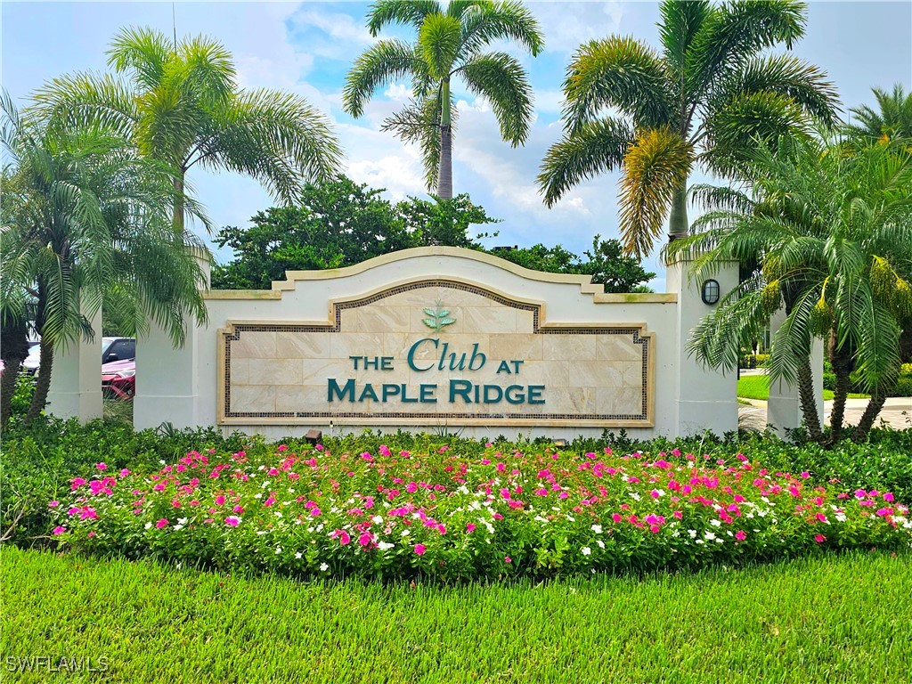 5630 Carrara Drive Ave Maria FL 34142 225073878 image37