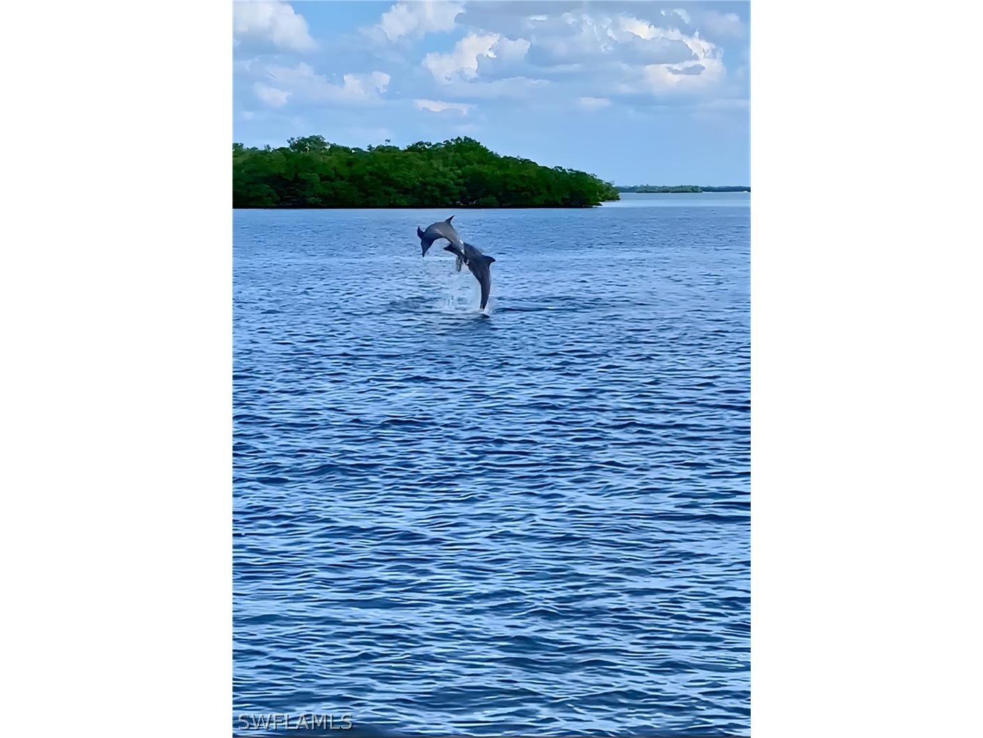5640 Williams Drive Fort Myers Beach FL 33931 226012044 image47