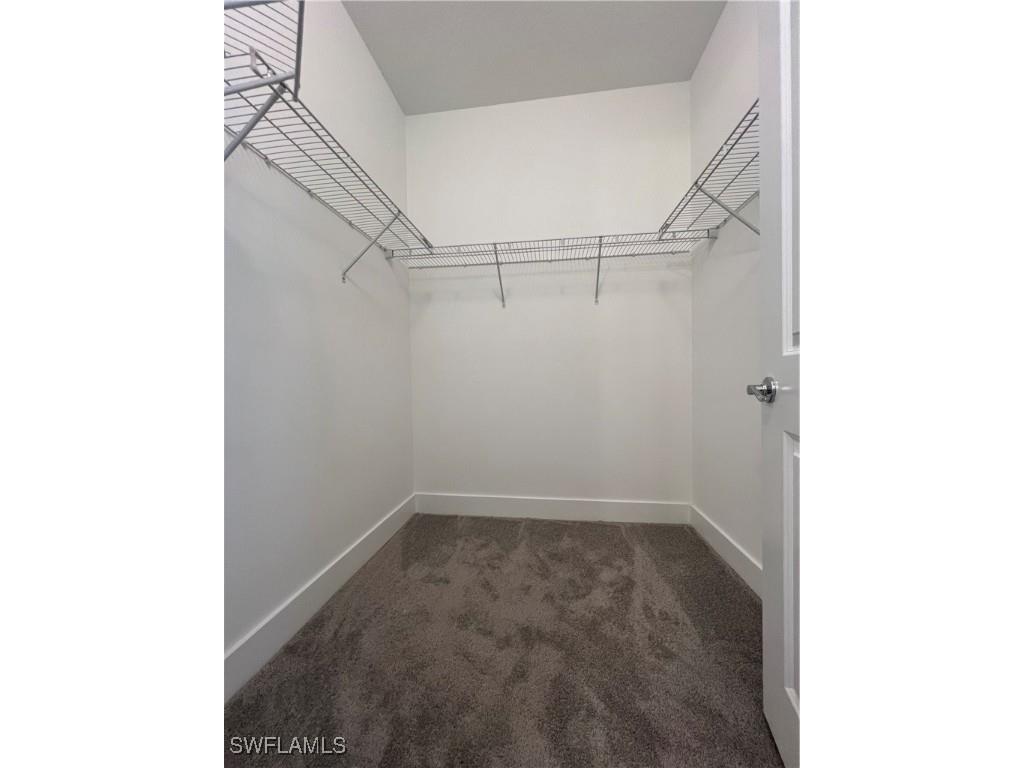 5642 Argento Drive Ave Maria FL 34142 225066837 image21