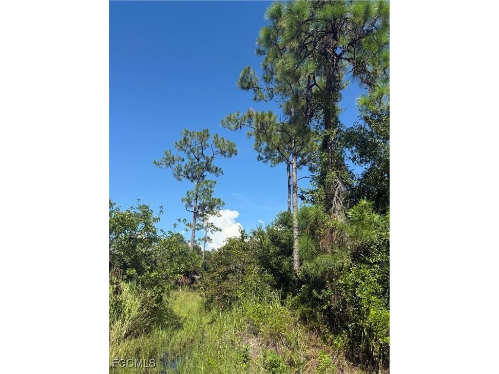 565 S Datil Street Clewiston FL 33440 2025007483 image15