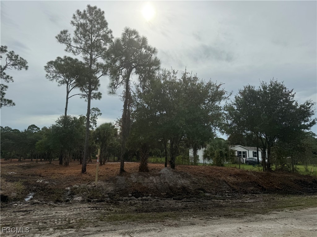 565 S Datil Street Clewiston FL 33440 2025007483 image17