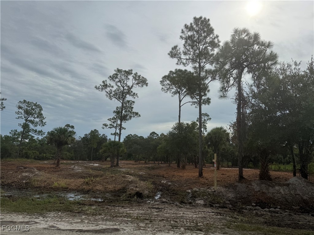 565 S Datil Street Clewiston FL 33440 2025007483 image18