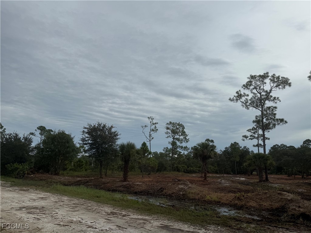 565 S Datil Street Clewiston FL 33440 2025007483 image19