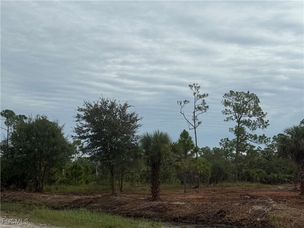 565 S Datil Street Clewiston FL 33440 2025007483 image20