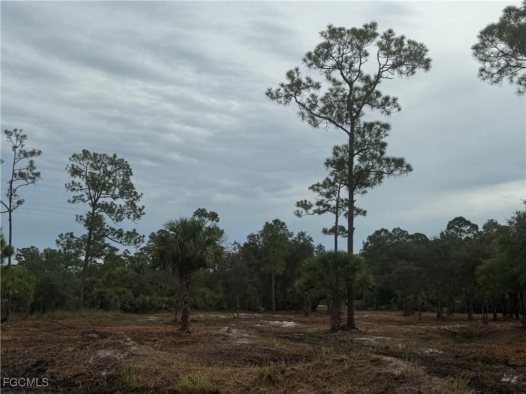 565 S Datil Street Clewiston FL 33440 2025007483 image21