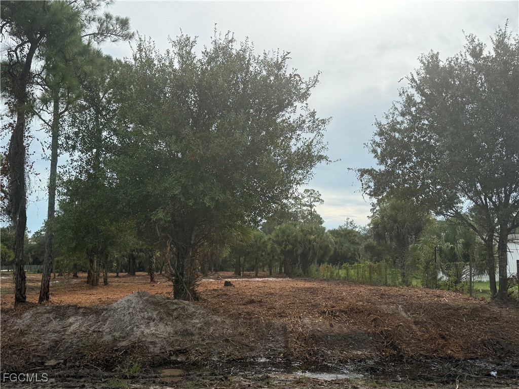 565 S Datil Street Clewiston FL 33440 2025007483 image23